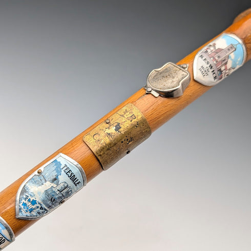 ヴィンテージ 英国周遊 クラッチハンドル ハイキングステッキ タンシャフト 89cm