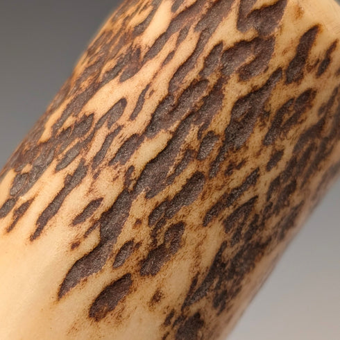 英国アンティーク アントラーポンメルハンドル ステッキ 杖 88cm