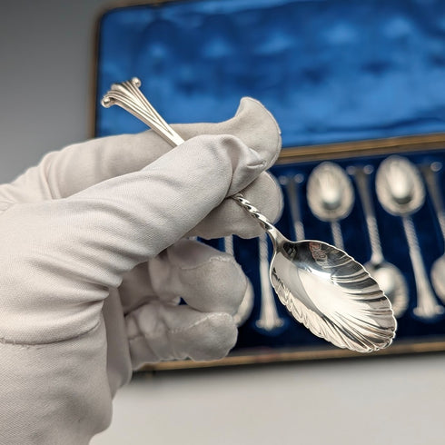 1894 British antique sterling silver tea spoon set of 12, total weight 118g, case included, Goldsmiths & Silversmiths