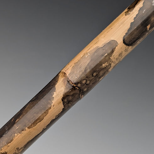 1925年 英国アンティーク 斑模様シャフト 曲がりハンドル 純銀装飾 ステッキ 杖 86cm