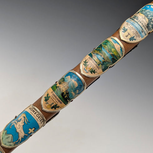 Vintage European Tour Bent Handle Tourist Walking Stick Tan Shaft 90cm