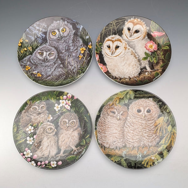 British Vintage Wedgwood Baby Owl Series Art Plate Set of 4