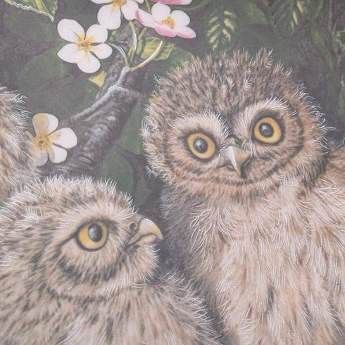 英國復古韋奇伍德嬰兒貓頭鷹系列藝術盤 4 件套