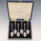 1954 British vintage enamel decorated sterling silver coffee spoon set of 6, total weight 71g, Turner & Simpson, case included