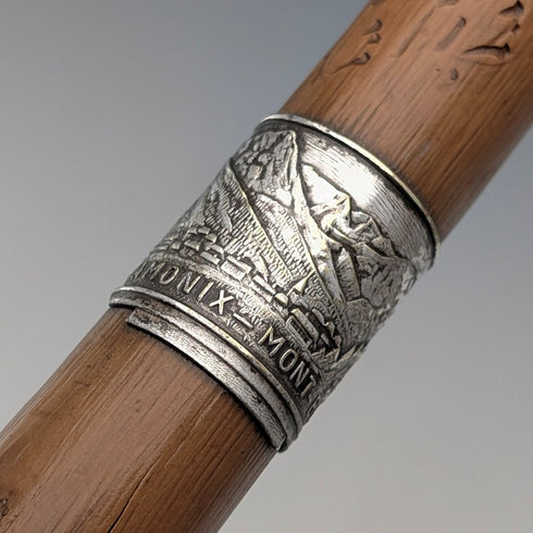 French Vintage Curved Handle Tourist Walking Stick Tan Shaft 78cm