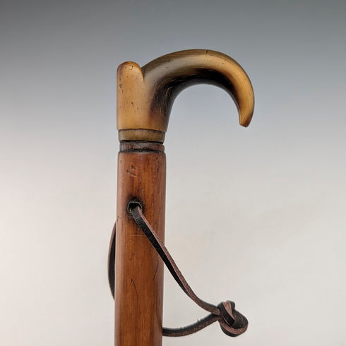 ヴィンテージ マラッカ藤シャフト ホーンハンドル 小型ステッキ 杖 63cm