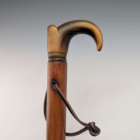 Vintage Malacca Rattan Shaft Horn Handle Small Walking Stick Cane 63cm