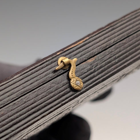 Antique British Umbrotype in leather case