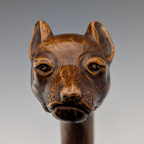 Vintage Tan Shaft Resin Dog Head Handle Gold Decorated Cane 90cm