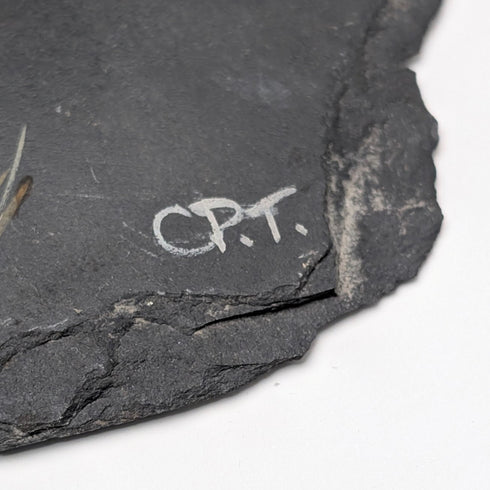 British Vintage Stone Painting Pheasant Wall Art Country Art