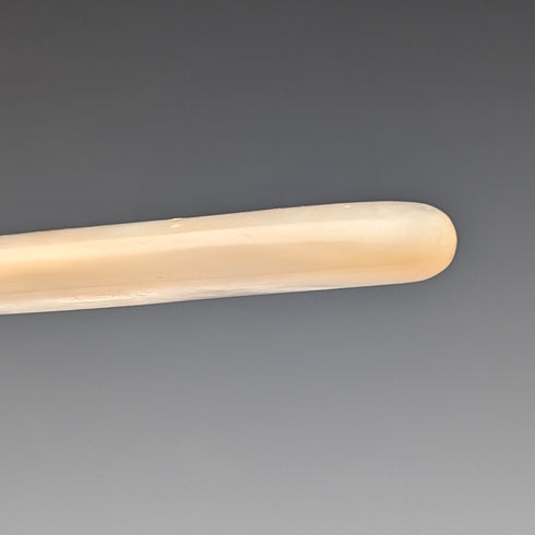 19世紀末英國古董珍珠母貝手柄鍍銀甜點餐具套裝(帶盒子)