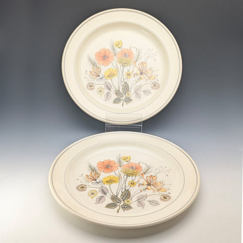 Pair of British Vintage Meakin Trend Hedgerow Pattern Dinner Plates, 27cm Diameter