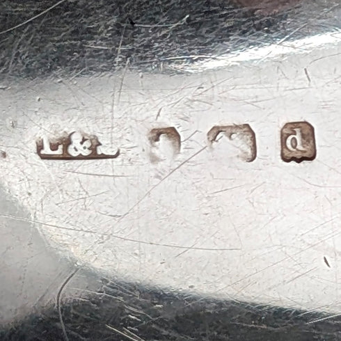 1903年 英国アンティーク 純銀製 シャトレーン メガネケース 80g Levi&Salaman