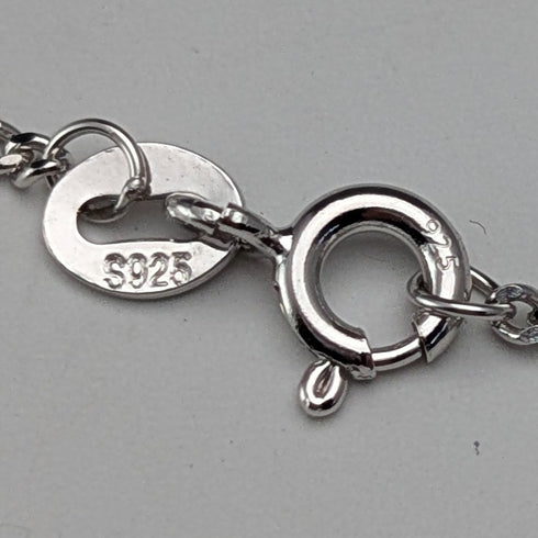 英国ヴィンテージ 純銀製 ライオンパサント ペンダント 純銀ネックレス付 計12.7g