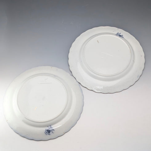 Pair of antique British Burlington pattern semi-porcelain lunch plates by Wedgwood & Co.