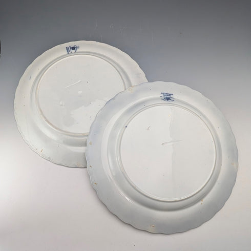 英国アンティーク バーリントンパターン 半磁器製 ディナープレートペア Wedgwood&Co.