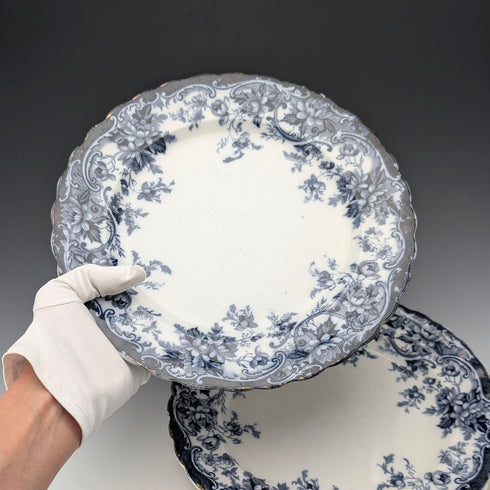 英国アンティーク バーリントンパターン 半磁器製 ディナープレートペア Wedgwood&Co.