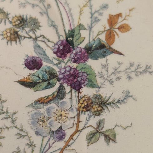 French Antique Japonism Design Hard Ceramic Side Plate Pair ①