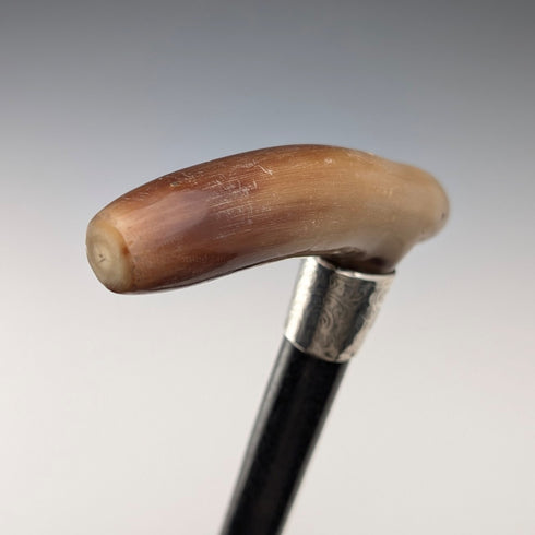 1904年 英国アンティーク ブラックシャフト ホーンクラッチハンドル 純銀装飾 ステッキ 杖 90cm