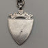 Antique British Sterling Silver Double Albert Chain, 43g, Sterling Silver Medal Fob