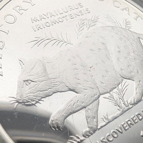 英國曼島銀質克朗硬幣“貓的歷史:西表野貓”,由PobjoyMint發行,附帶包裝盒和說明書