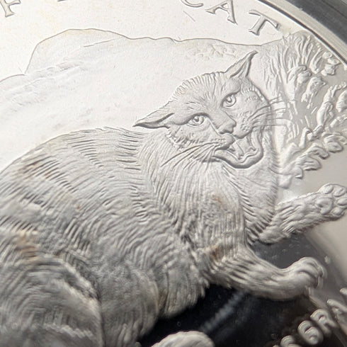 英國曼島銀質克朗硬幣“貓的歷史:歐洲野貓”,由PobjoyMint發行,附帶包裝盒和說明書