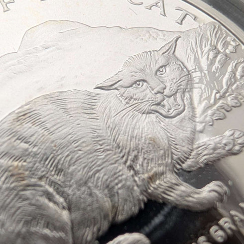 英国マン島 クラウン銀貨 「猫の歴史:ヨーロッパヤマネコ」PobjoyMint ケース・説明書付