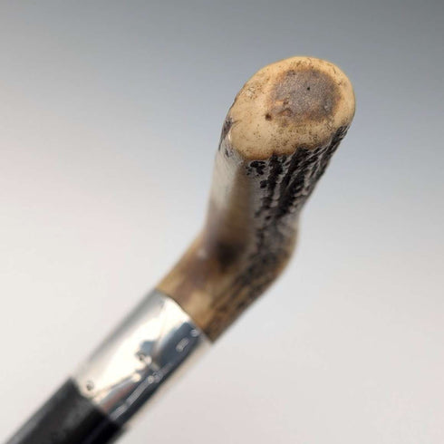 Antique black shaft, sterling silver embellishment, antler L-handle walking stick, 86cm