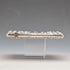 1903 British Antique Relief Sterling Silver Card Case, 81g, William Neale