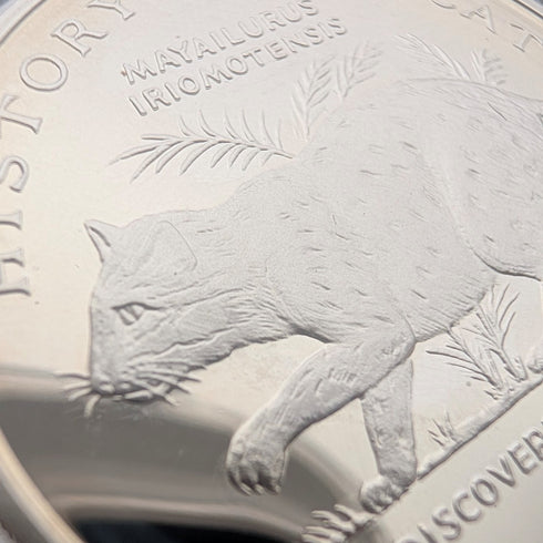 British Isle of Man Silver Crown Coins, Cat History Series: Set of 4, PobjoyMint, with Case and Instructions