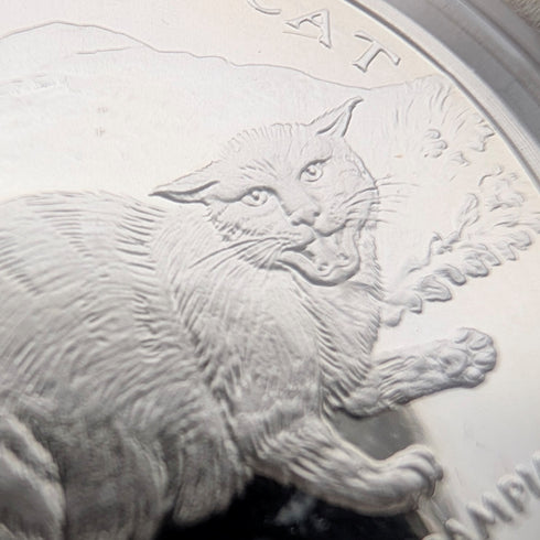 British Isle of Man Silver Crown Coins, Cat History Series: Set of 4, PobjoyMint, with Case and Instructions