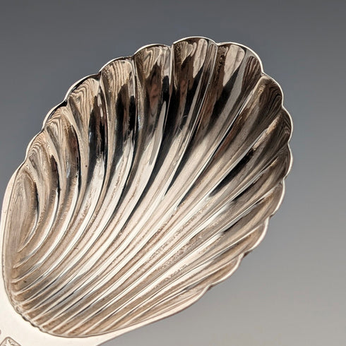 1982年 英国ヴィンテージ 純銀製 シェル型ティーキャディースプーン 20g William Adams Ltd