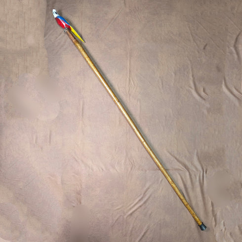 Vintage Painted Parrot Carving Handle Hiking Stick Cane 136cm