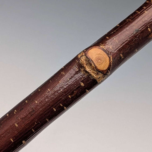 英國復古 天然木 手杖 登山杖 140公分 Classic Canes