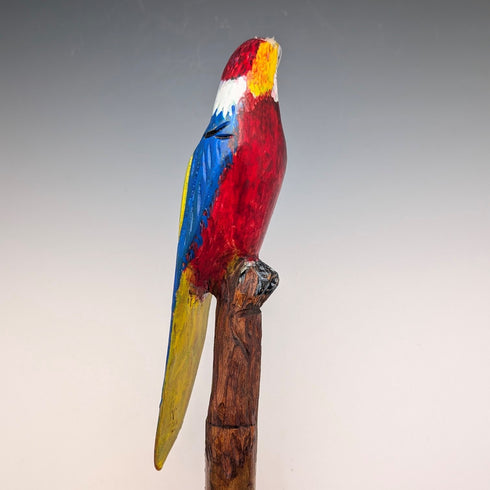 Vintage Painted Parrot Carving Handle Hiking Stick Cane 136cm
