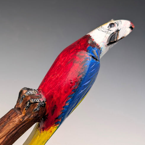 Vintage Painted Parrot Carving Handle Hiking Stick Cane 136cm
