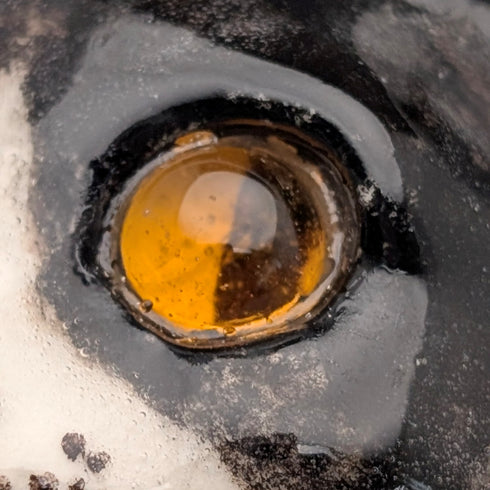 Winstanley Cat (Kensington Cat) - Tabby, Ceramic Figurine (Size 1)