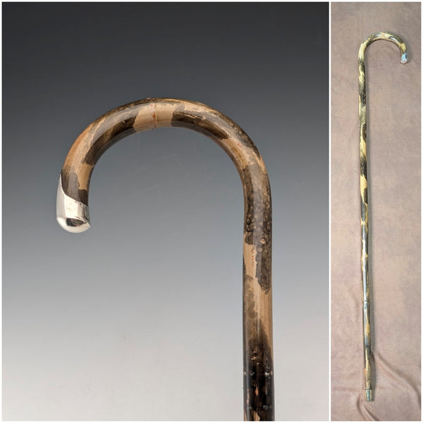 1925 British antique walking stick with mottled shaft, curved handle and pure silver decoration, 86cm