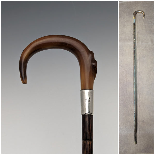 1911 British Antique Ladies Cane Horn Handle Sterling Silver Decoration 92cm