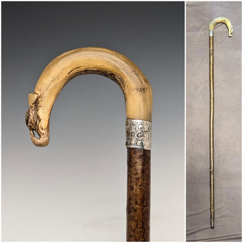 1899 年英國古董男士純銀裝飾牛角手柄手杖 101 厘米