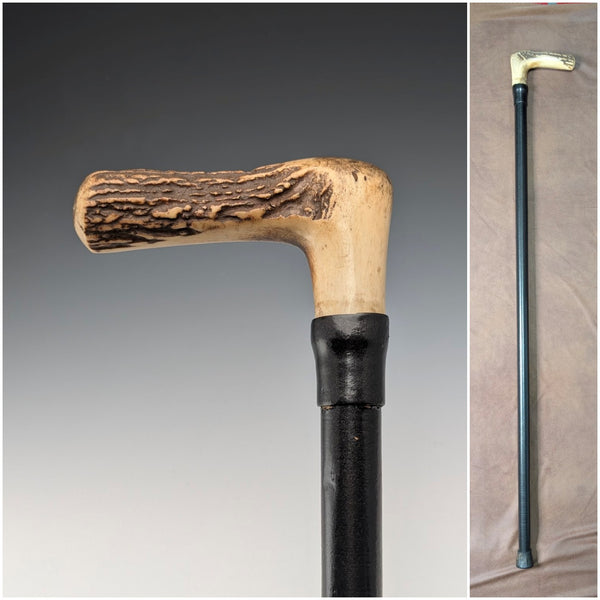 Late 19th Century British Antique Black Shaft Walking Stick with Horse Measuring Tape, Antler Handle, 93cm