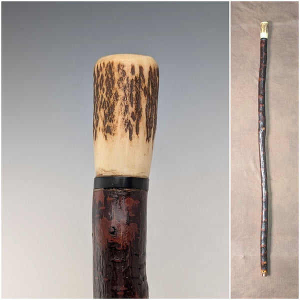 Antique British antler pommel handle walking stick, 88cm