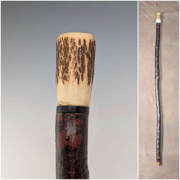 Antique British antler pommel handle walking stick, 88cm