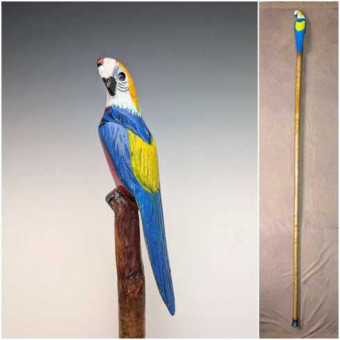 Vintage Painted Parrot Carving Handle Hiking Stick Cane 136cm