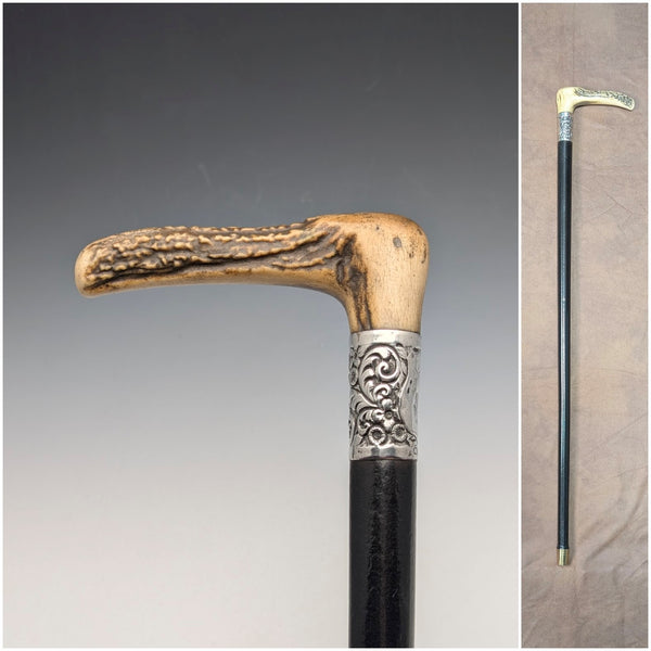 1911年 英国アンティーク ブラックシャフト 純銀装飾 アントラーL字ハンドル ステッキ 杖 77cm