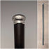 1893 British antique black shaft sterling silver engraved round handle walking stick 86cm