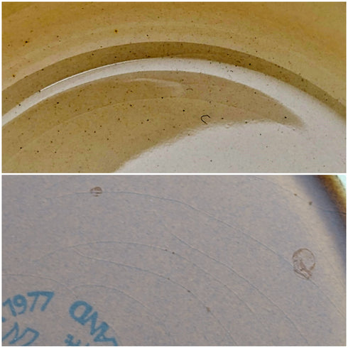 Circa 1977 Hornsea, UK BRONTE teacup trio 3 sets