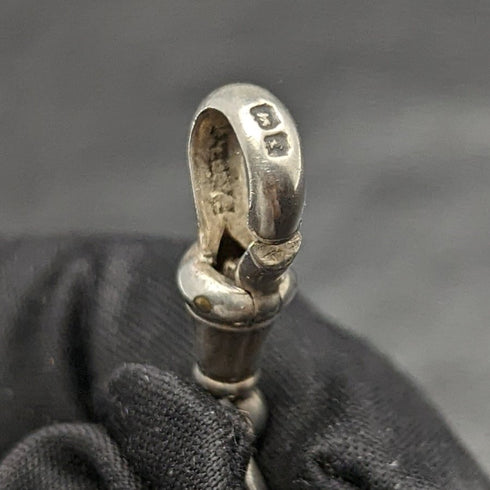 1900年頃 英国アンティーク 純銀極太アルバートチェーン 80g メダルフォブ