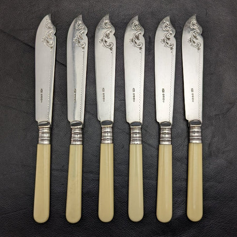 British antique resin handle silver plate fish cutlery 6x2 & server set in wooden box