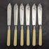 British antique resin handle silver plate fish cutlery 6x2 & server set in wooden box